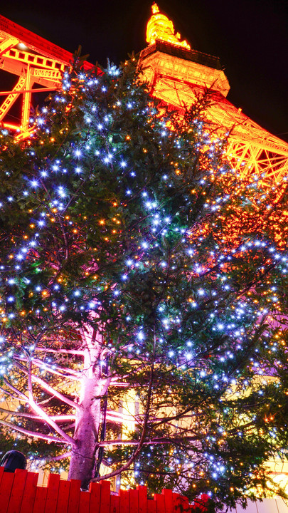 クリスマス後の東京タワー