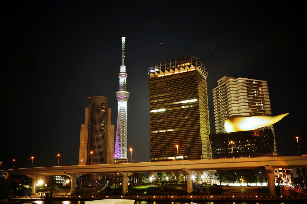 skytree in the night
