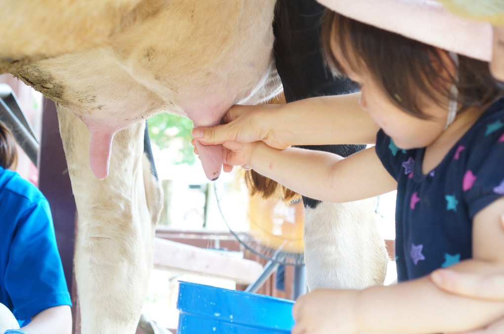 動物大好き　牧場にて　～Part1～