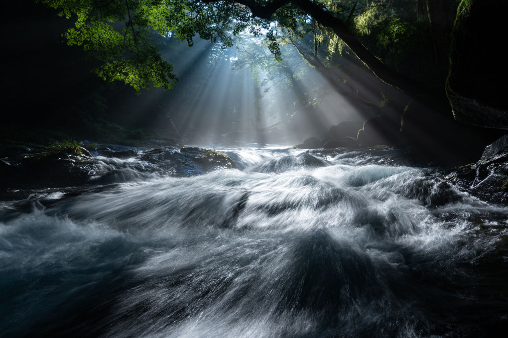 光の渓流