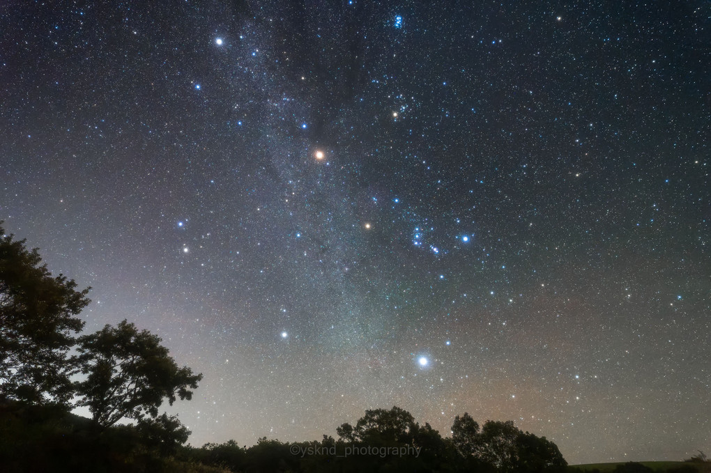 すっかり冬の星空