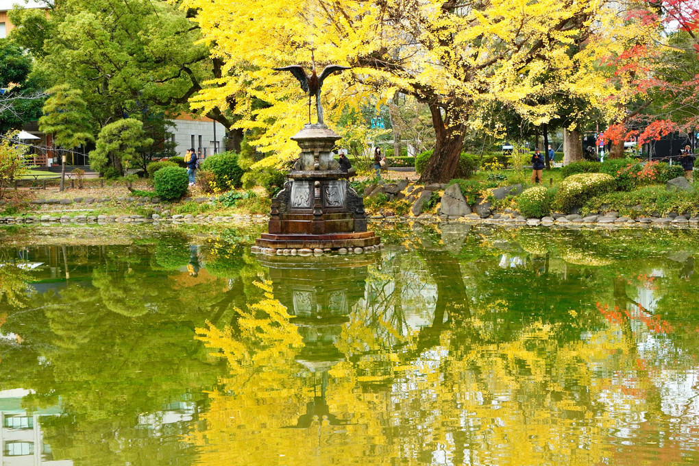 秋色探し＠日比谷の公園編