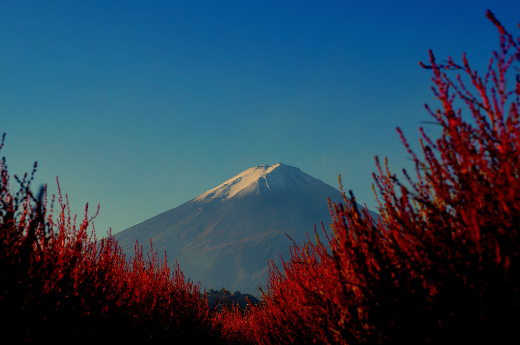 富士へと続く赤い道