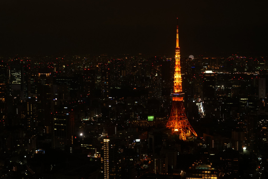 東京タワー　