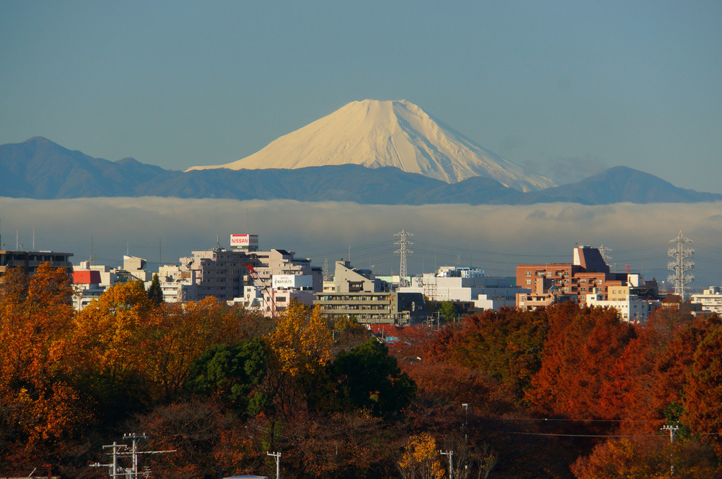 秋の街、冬の富士山