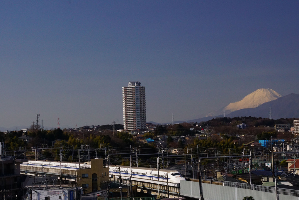白と黄色と富士山