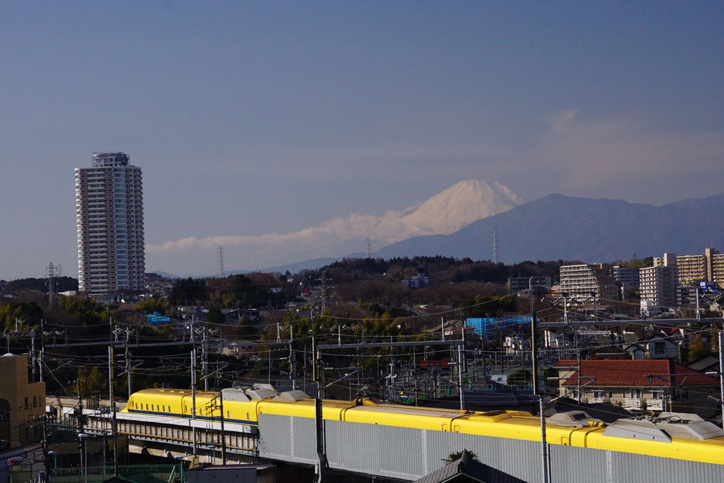 白と黄色と富士山