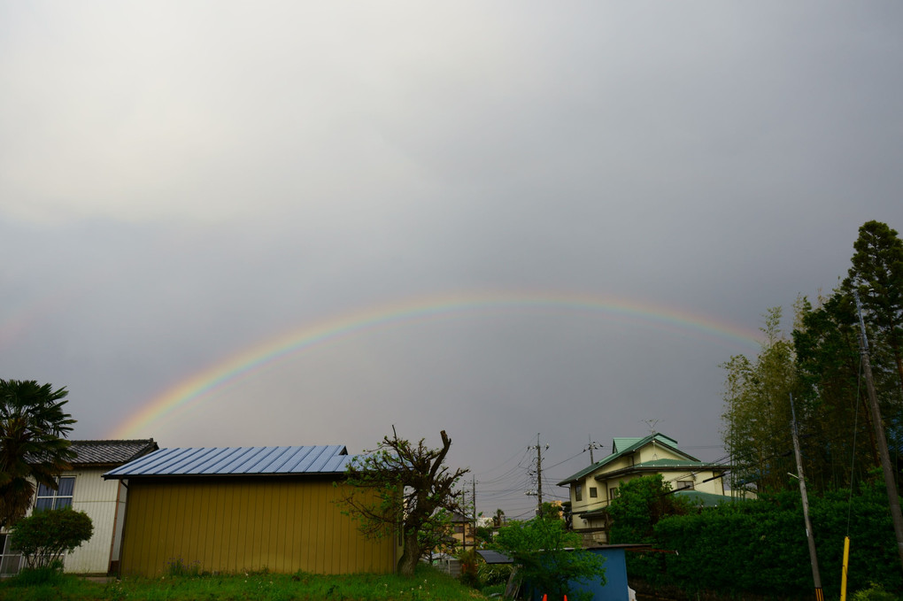 虹だ（　＾ω＾）・・・
