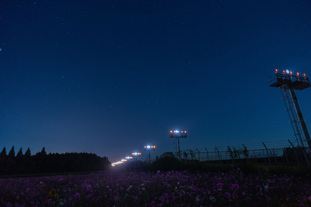 鹿児島空港　着陸の夜景