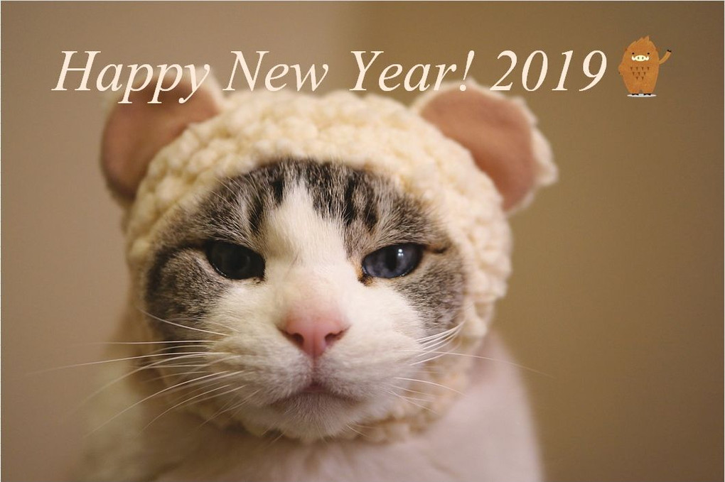 Happy New Year! 2019