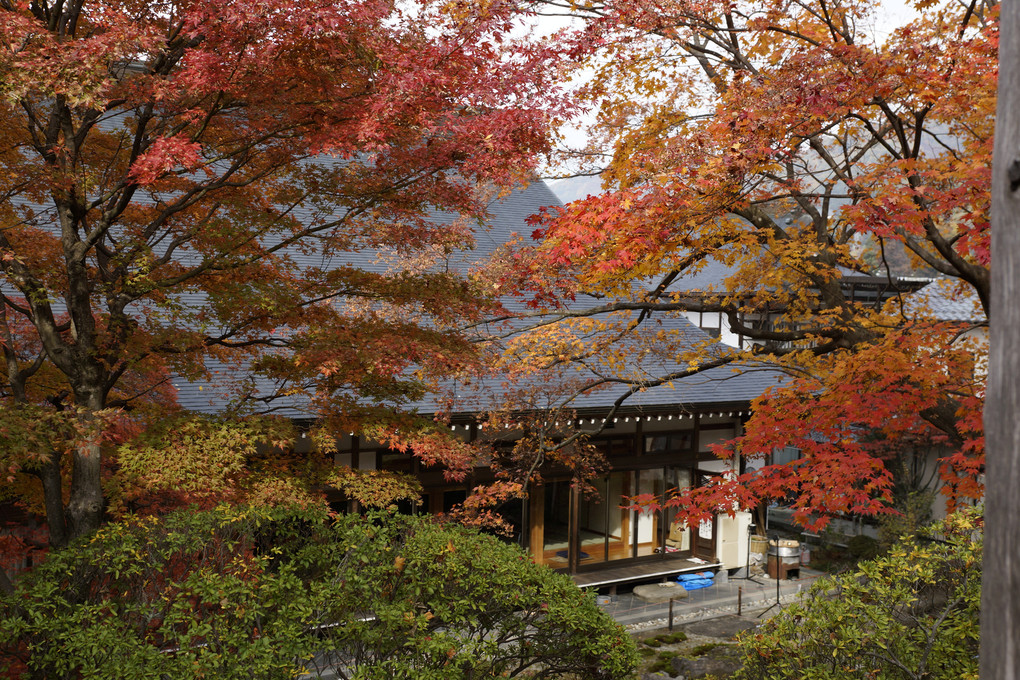 秋の寺社