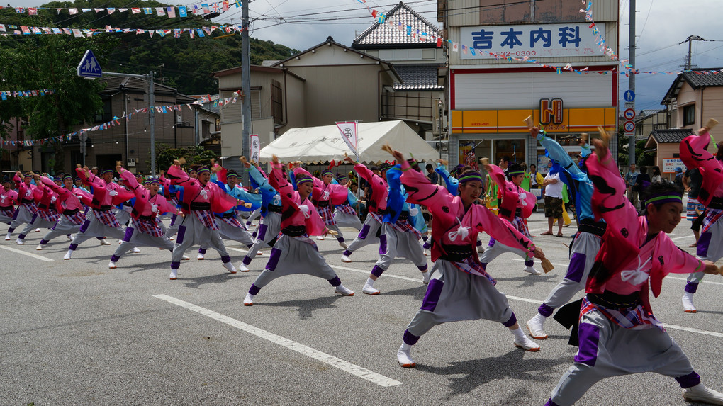よさこい祭り2014「和」