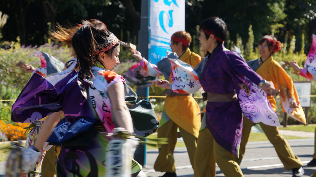 ゑぇじゃないか祭り　2014　「舞姫」