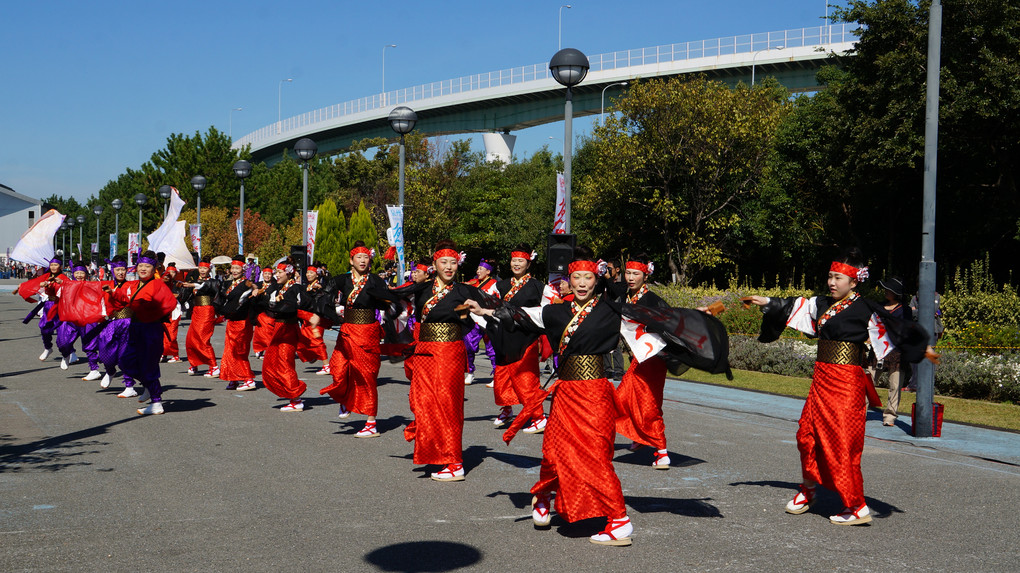 ゑぇじゃないか祭り　2014　「和」