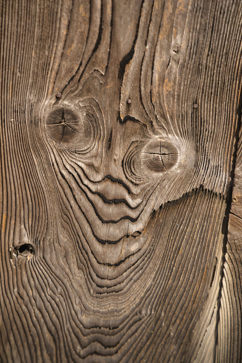 木目の表情