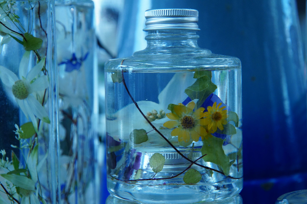 Flowers in Glass Bottle