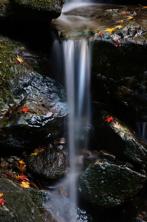 くらがり渓谷-水際の紅葉