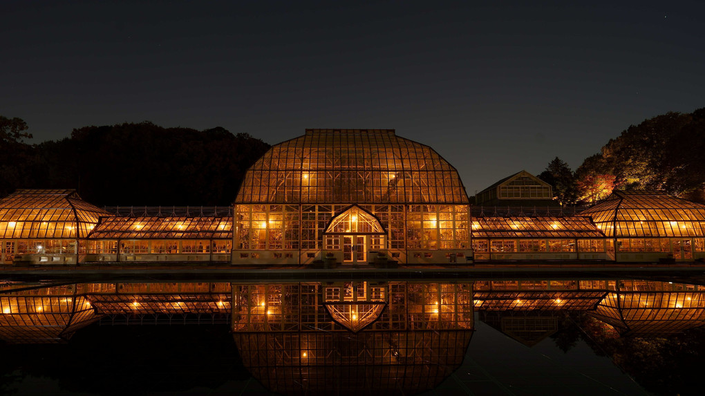 東山植物園　day & night
