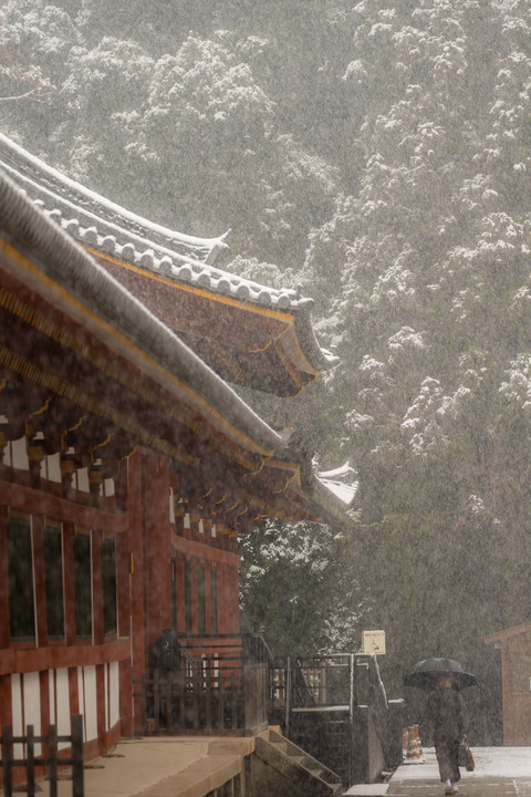 緊急事態宣言関西追加の1日前に雪降る奈良へ行ってきました。