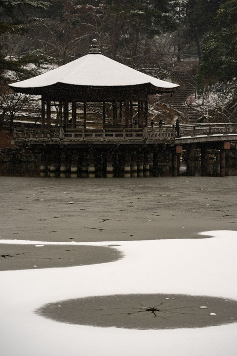 緊急事態宣言関西追加の1日前に雪降る奈良へ行ってきました。
