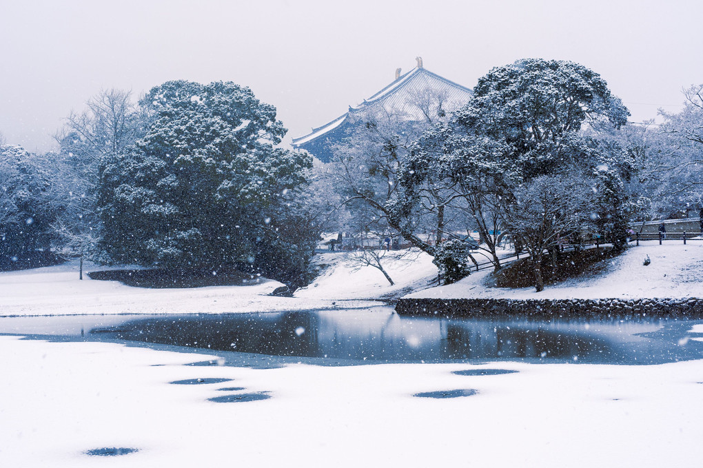 凍つく奈良
