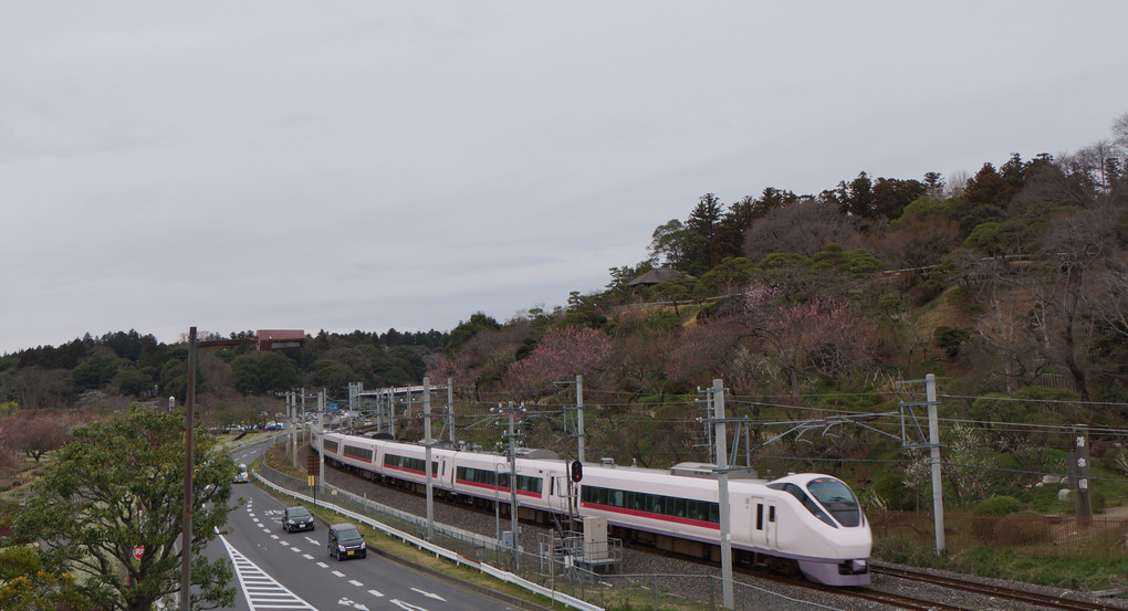 2019年３月２３日　水戸偕楽園。