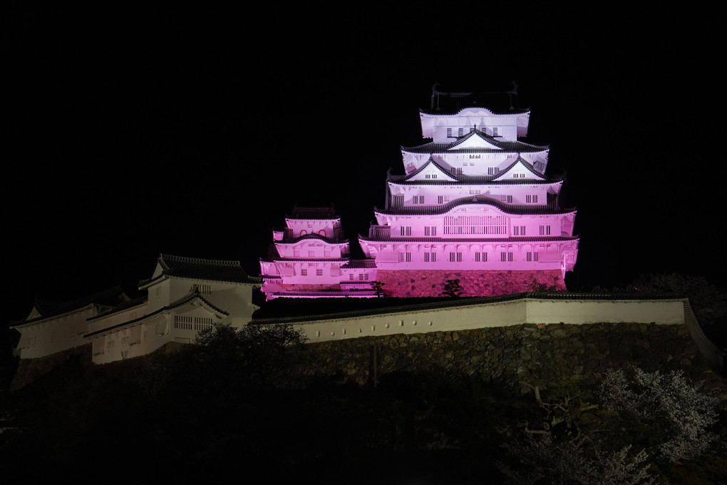 姫路城…ピンク色