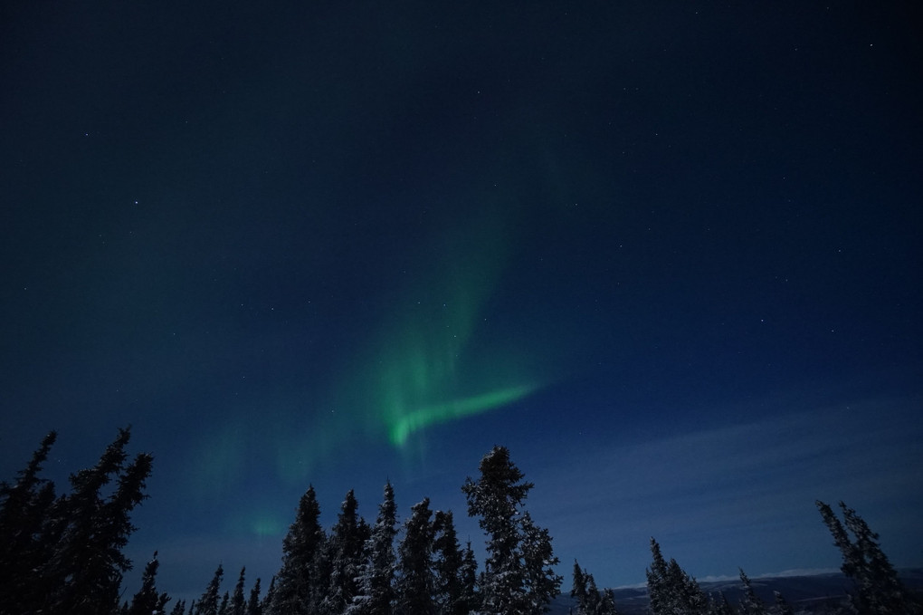 Northern Lights - Aurora - オーロラ