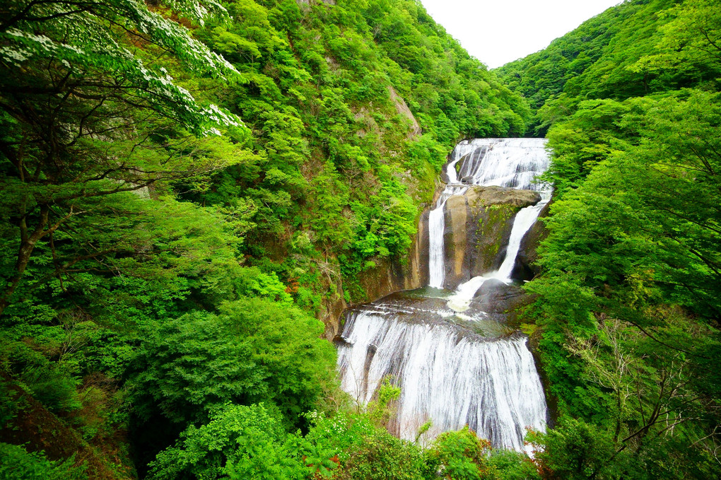 袋田の滝