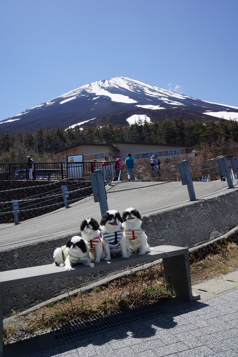 富士山5合目のさとちんファミリー