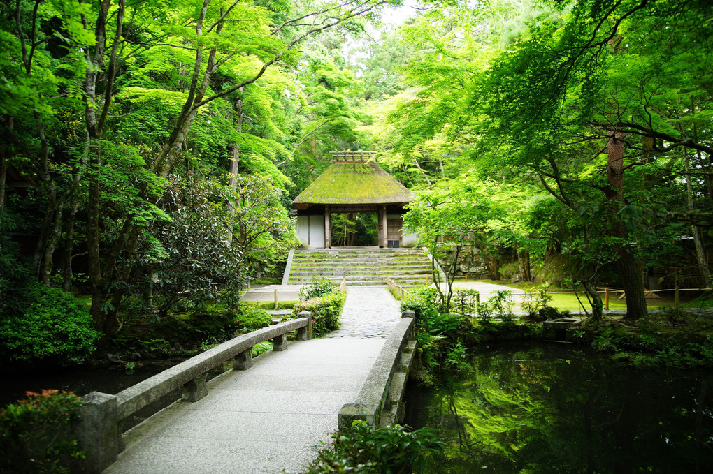 京都東山　法然院