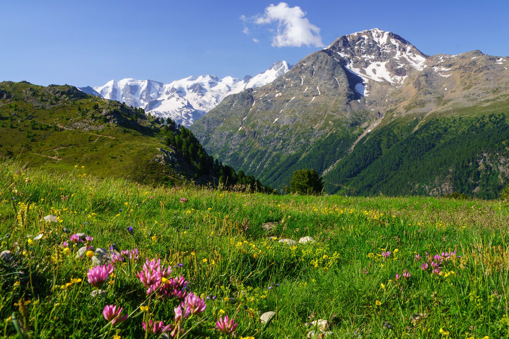 スイス・アルプスのベルニナ山群を遠望します