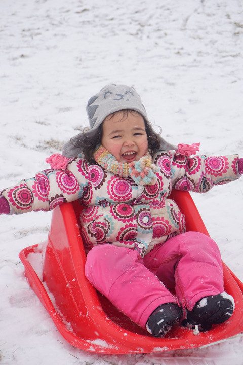 Last sledding ~bye, bye, snow!