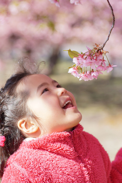 河津桜を愛でに…