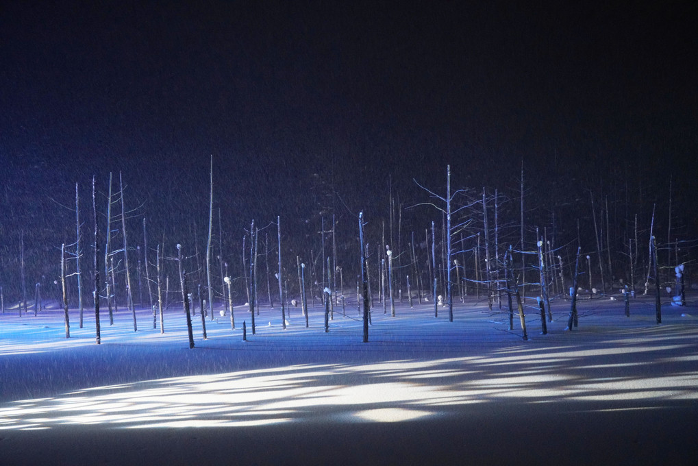 雪降る青い池ライトアップ
