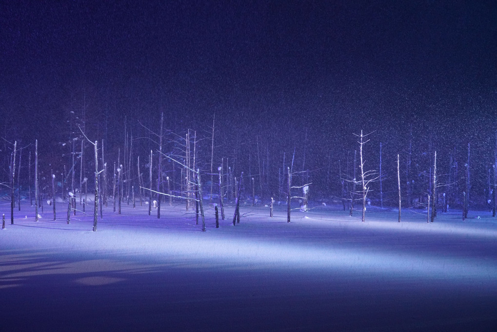 雪降る青い池ライトアップ