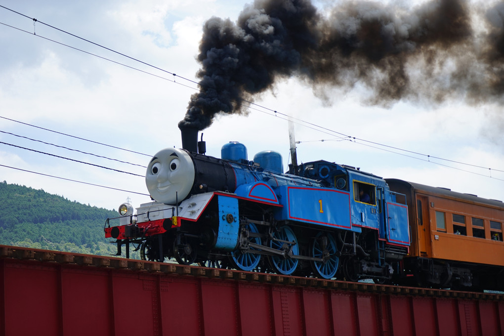 Thomas the Tank Engine Set to Run in Shizu
