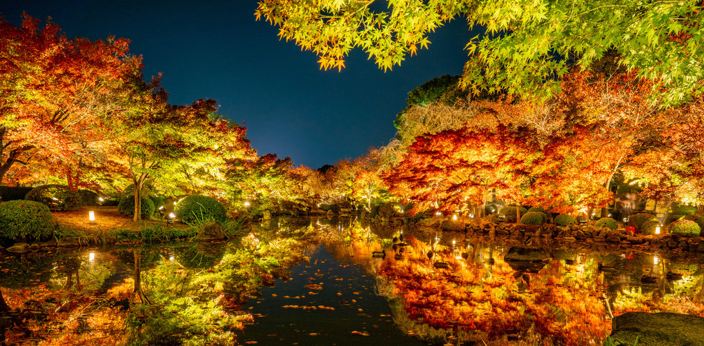 深紅と碧緑の饗宴