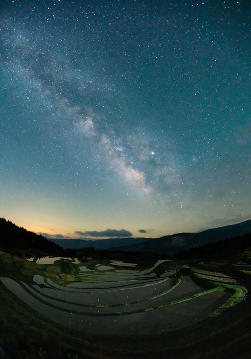 田水張る頃