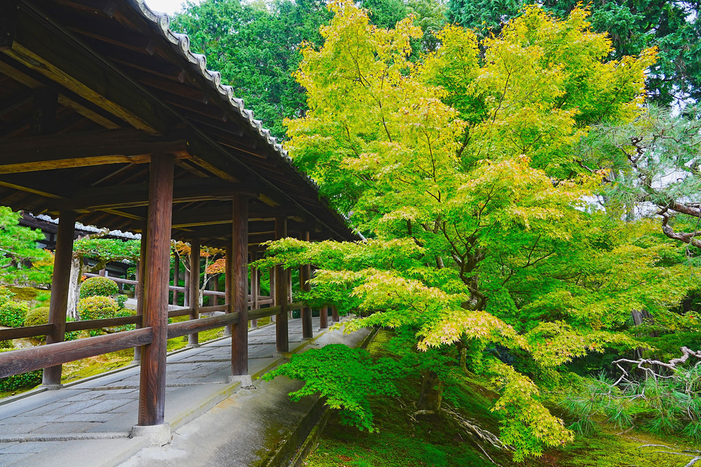 東福寺