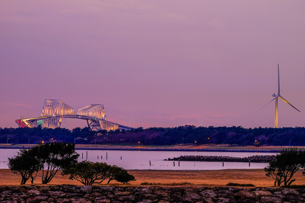 ゲートブリッジが見える風景（葛西臨海公園にて）