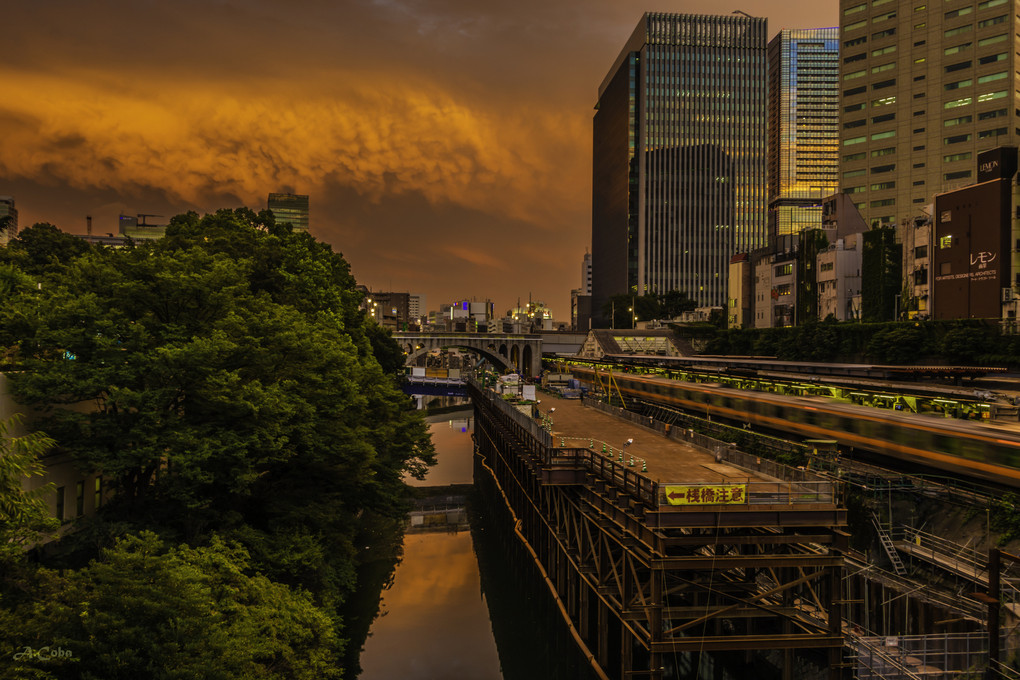 印象的な夕景(^^♪