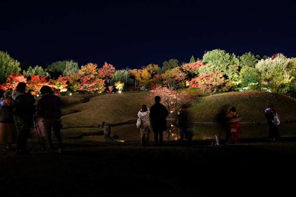 京都・梅小路公園・朱雀の庭の紅葉祭り