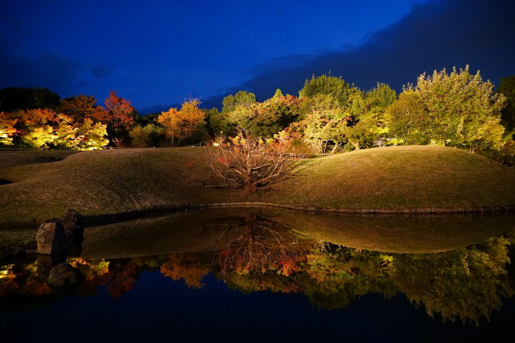 京都・朱雀の庭ライトアップ