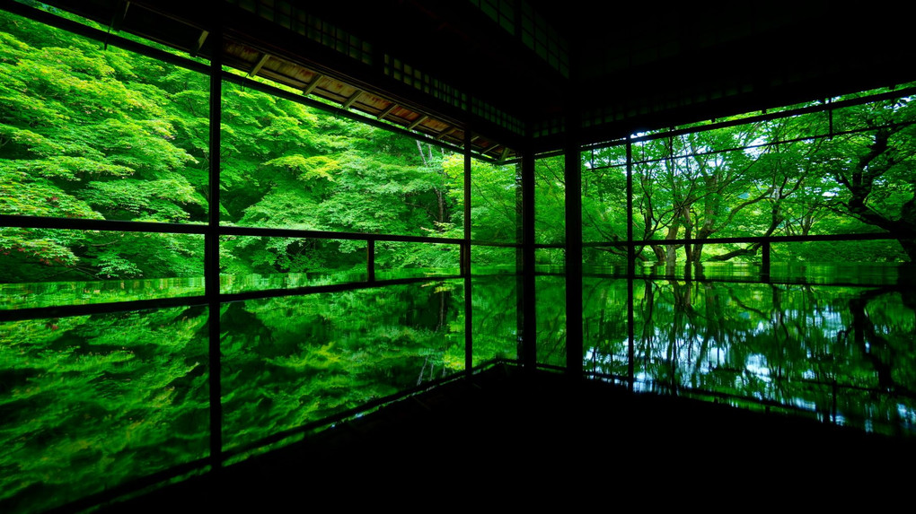 京都・瑠璃光院～新緑のリフレクション