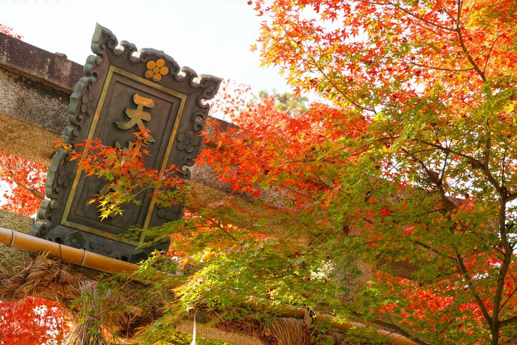 京都・長岡天満宮の紅葉