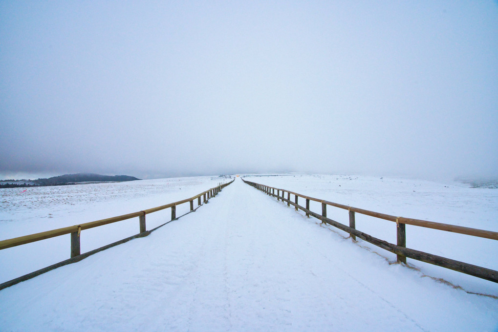 雪道