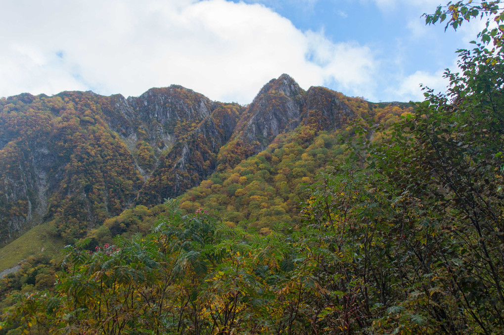 涸沢の紅葉