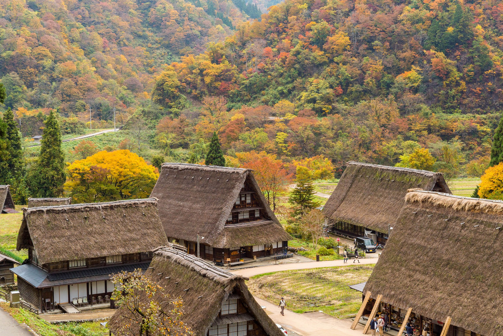 五箇山の秋