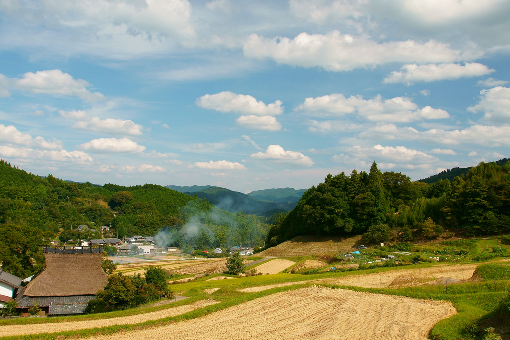 棚田　秋景色